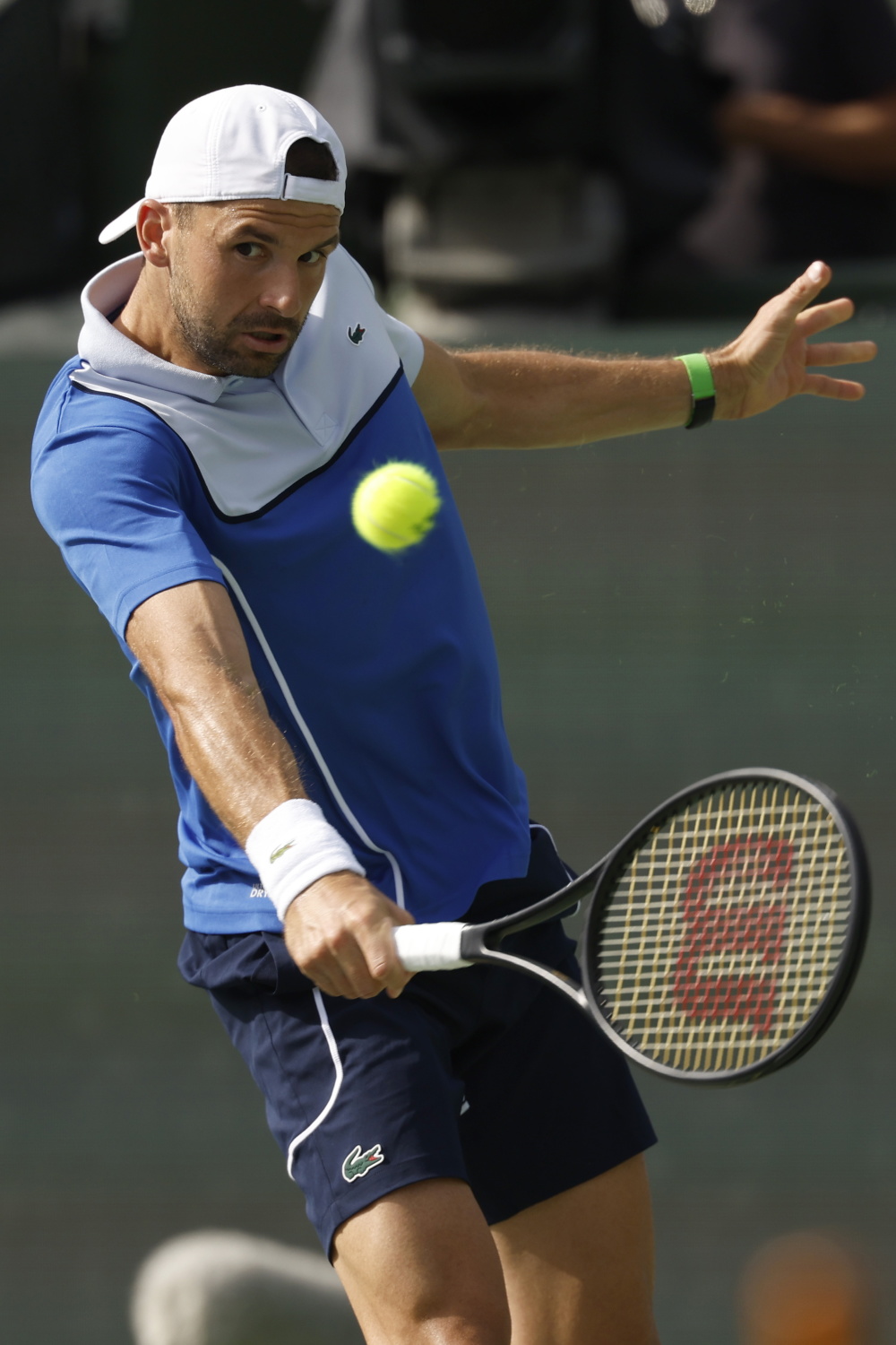 包含法国网球队力克英国网球队，梅德韦杰夫送出助攻的词条