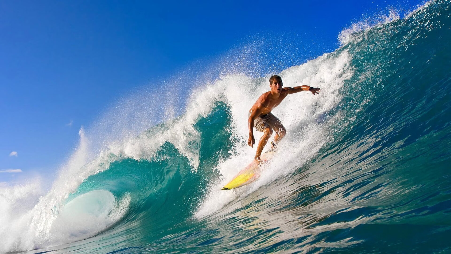 楚阿梅尼一箭定江山，土耳其铁骑击溃文艺复兴之都的现代寓言